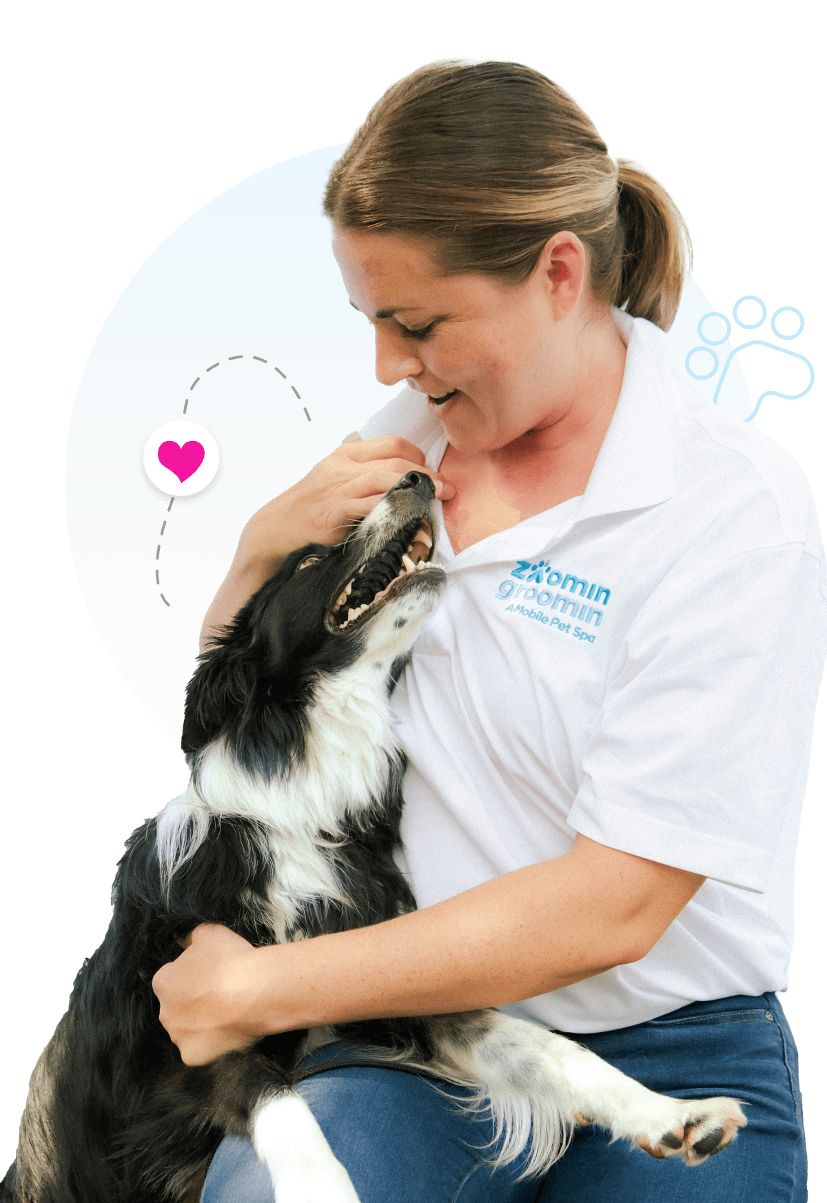 pet clipping near me Hampton, Yorktown, and Williamsburg