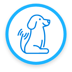 Your Pet Looks (and Feels) Amazing! — Tail wags guaranteed.