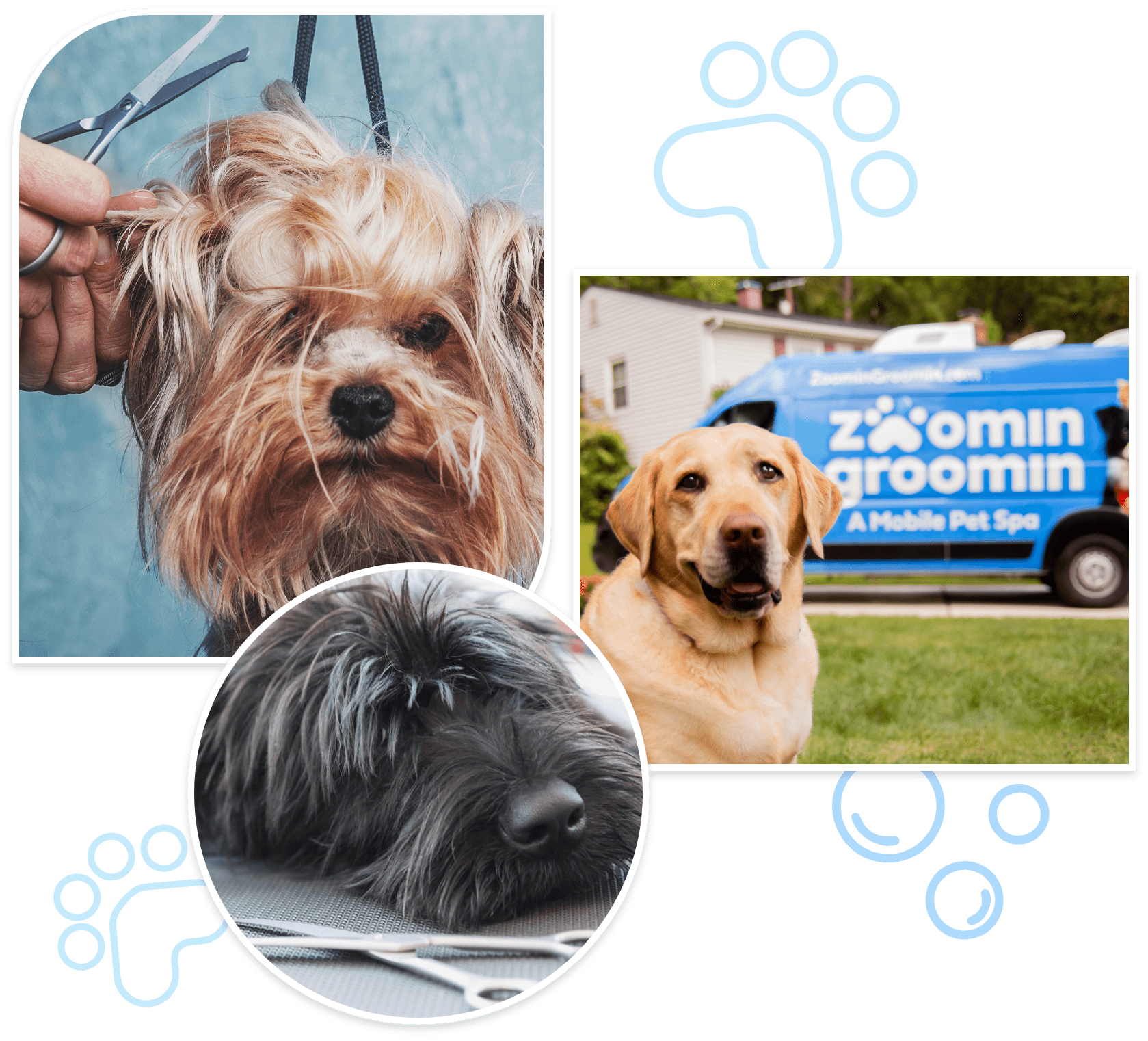 mobile animal groomers near me