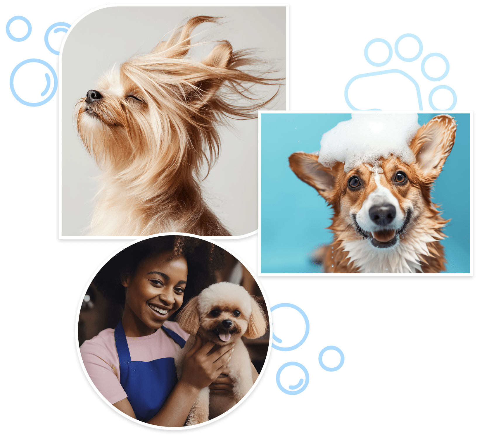 mobile dog grooming company