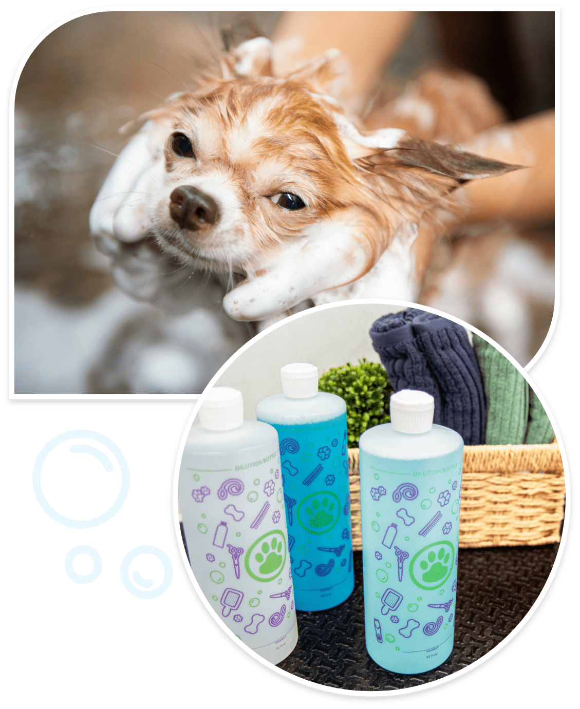 dog wash mobile near me Newport News