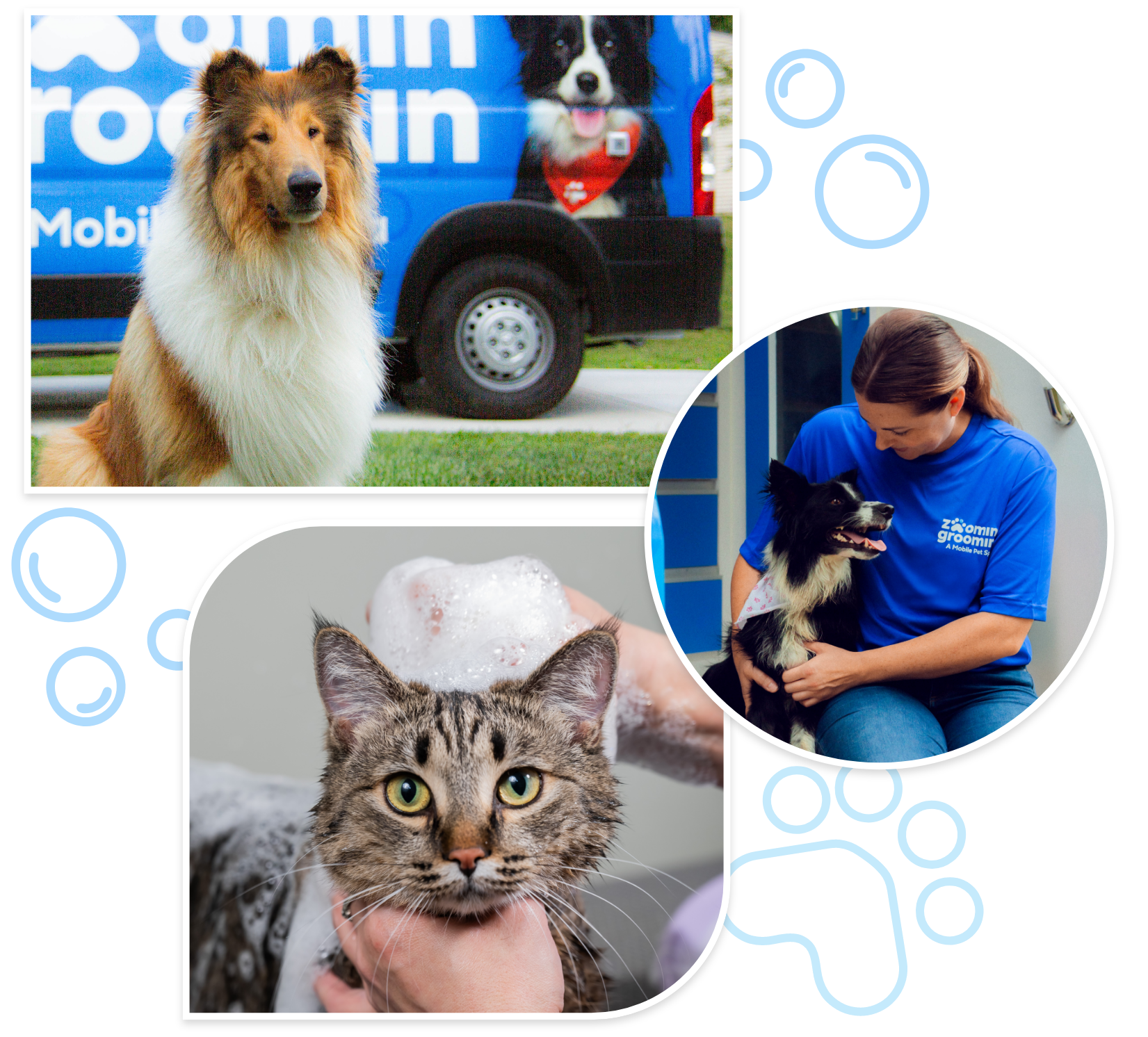 pet groomer careers