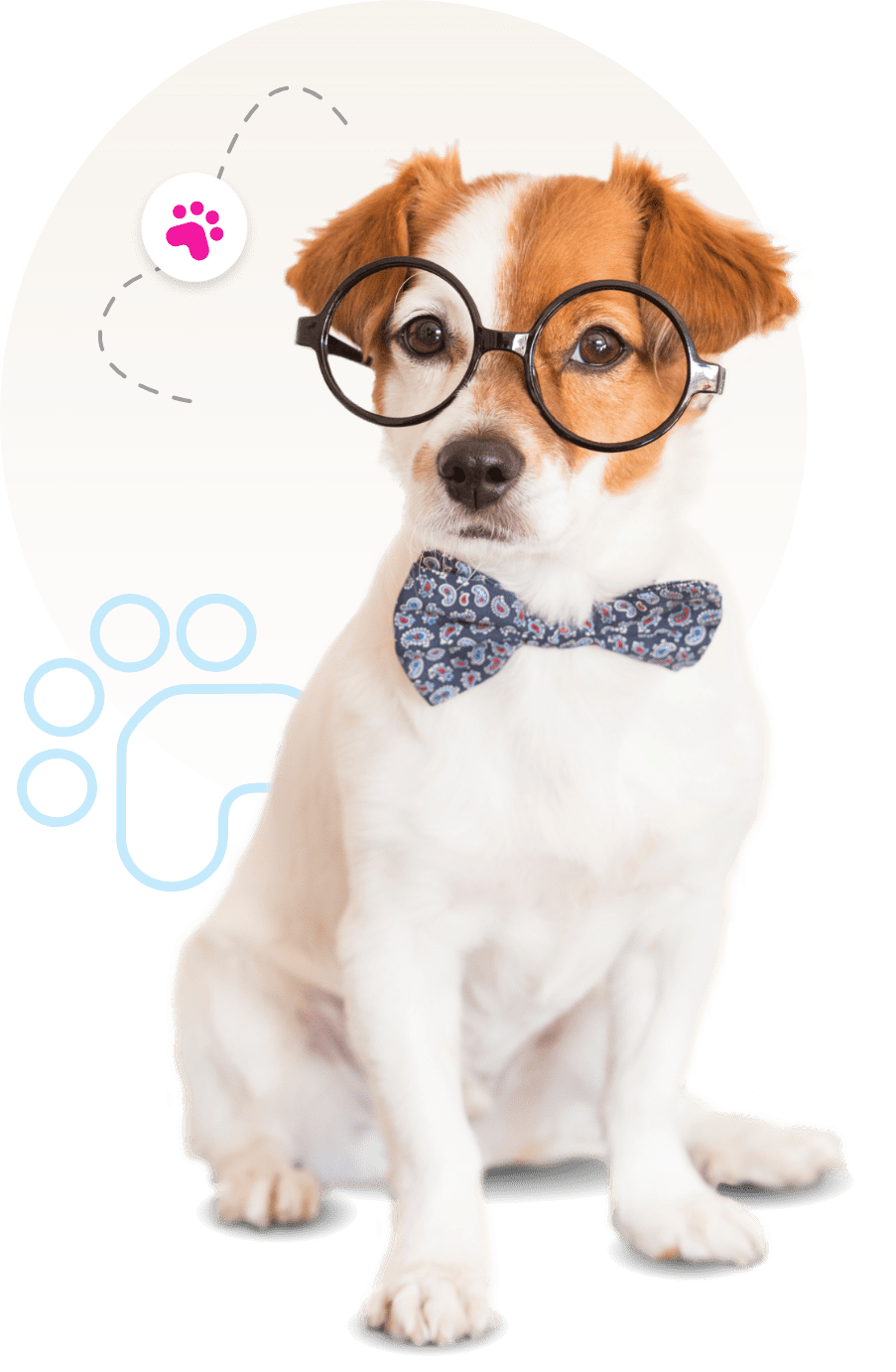 mobile dog salon Newport News