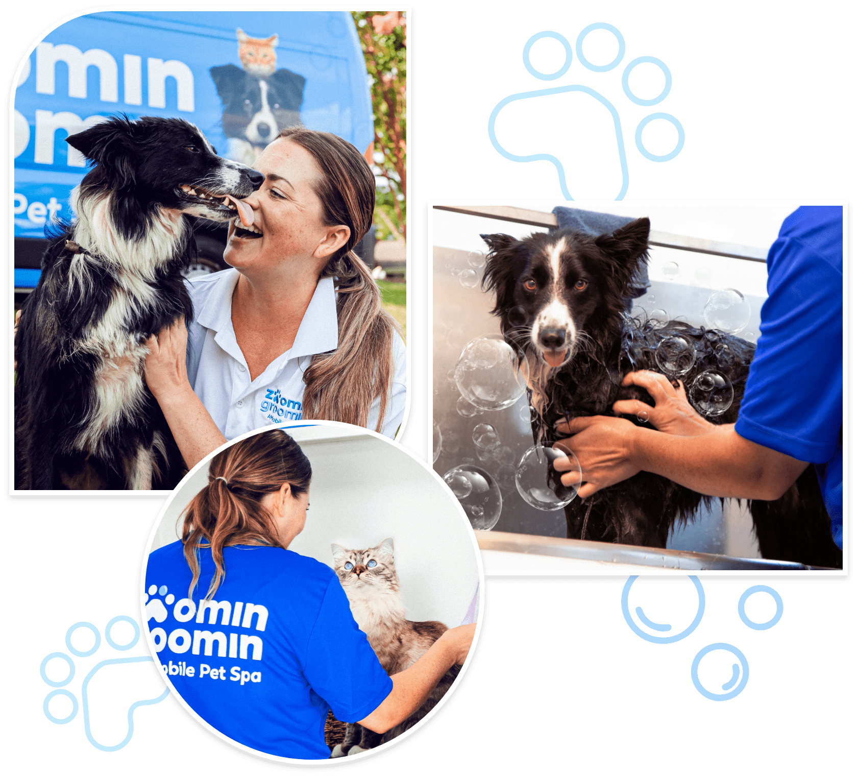 zoomin groomin pet groomers