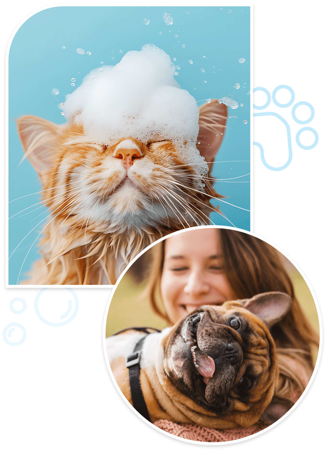 dog clipping near me Hampton, Yorktown, and Williamsburg