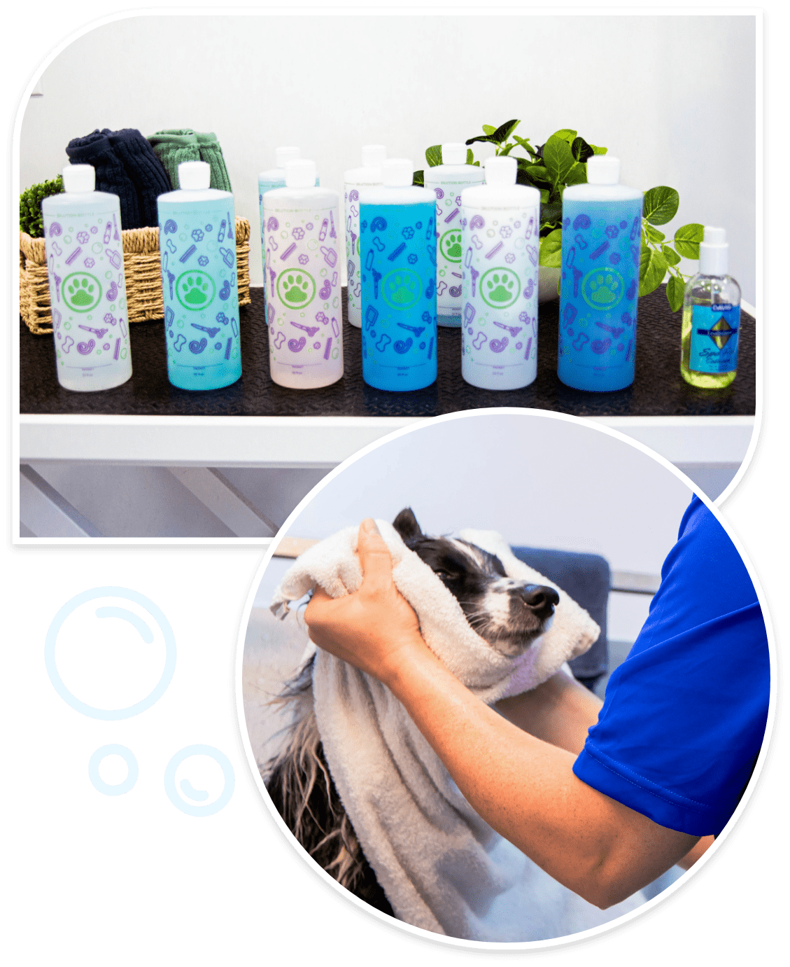 mobile animal groomers near me