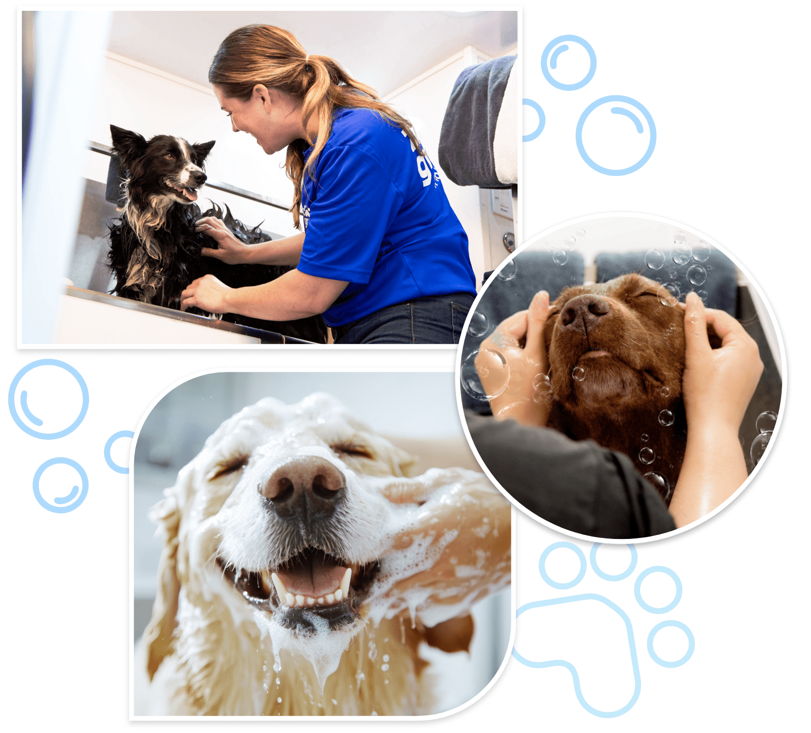 pet groomer mobile near me,